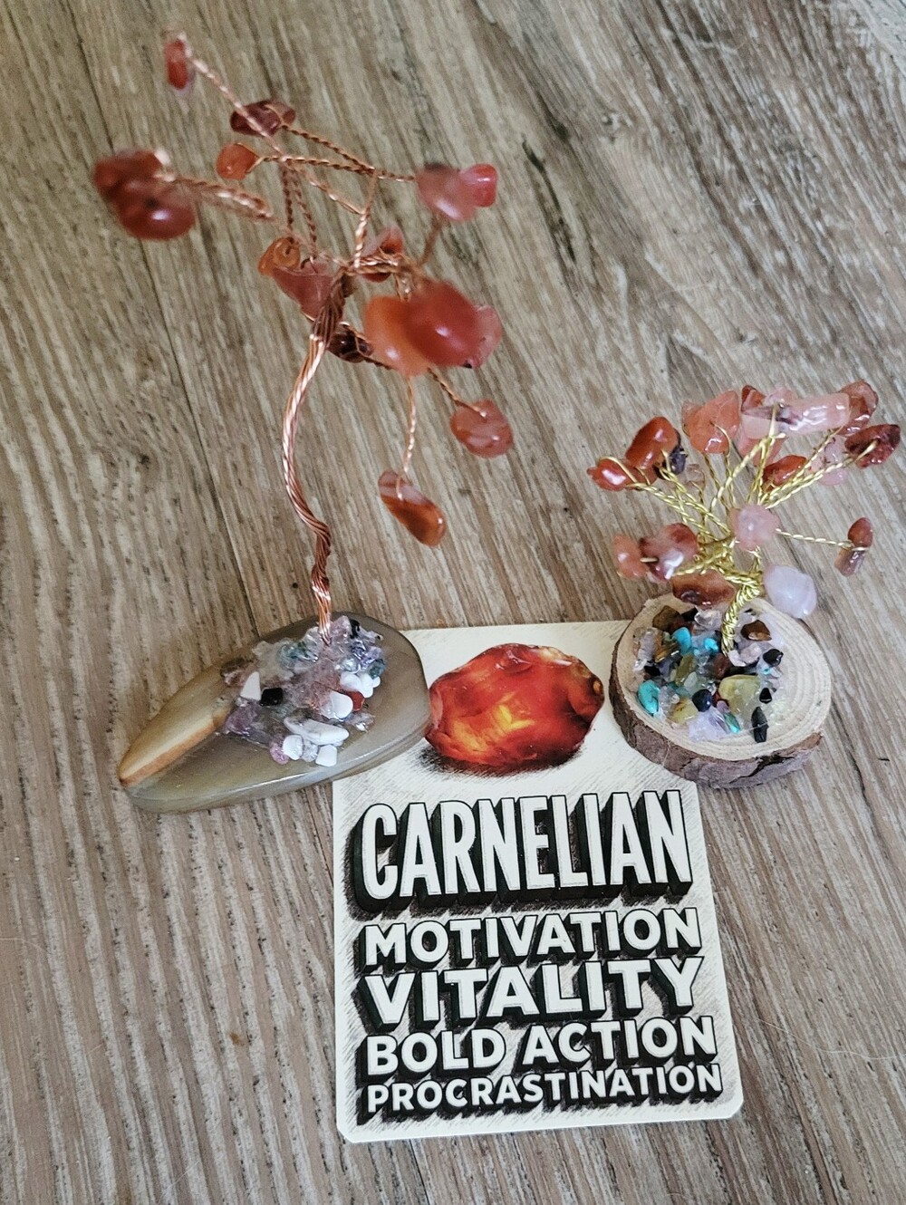 ✨ Carnelian Crystal Tree Bundle ✨